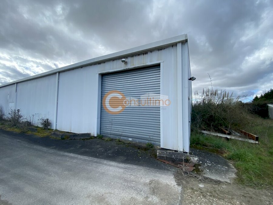 Local commercial à louer 500 m² - Saint-Martin-Lacaussade