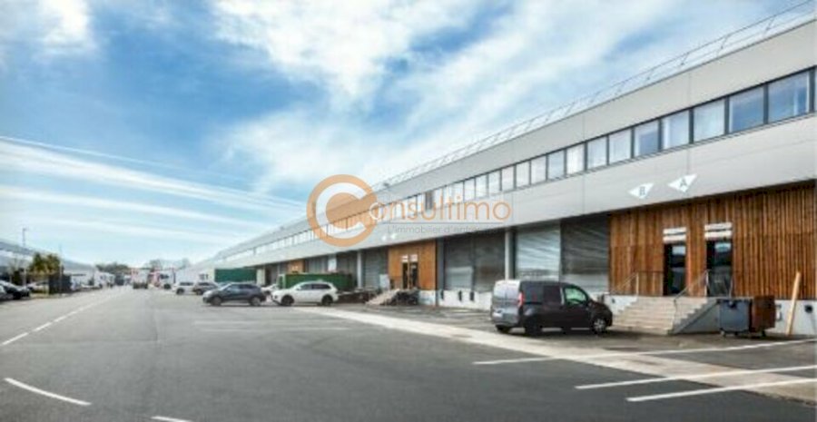 Local d'activité à louer 6518 m² - Bruges