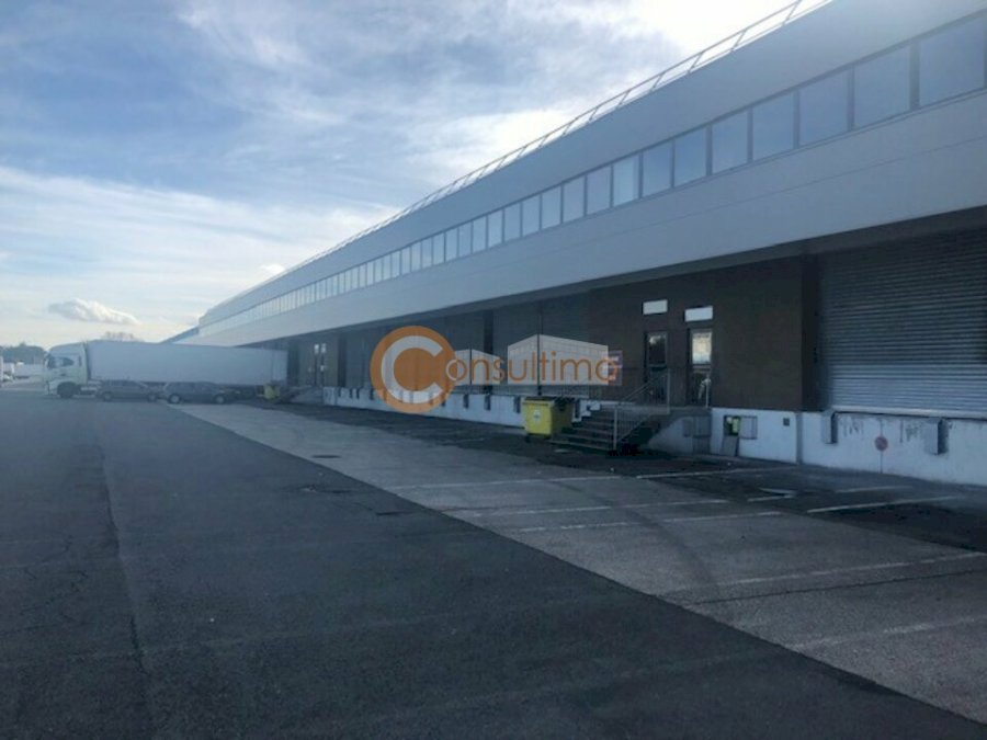 Local d'activité à louer 6518 m² - Bruges
