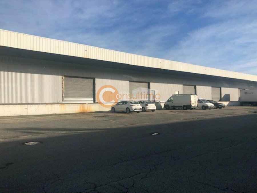 Local d'activité à louer 6257 m² - Bruges