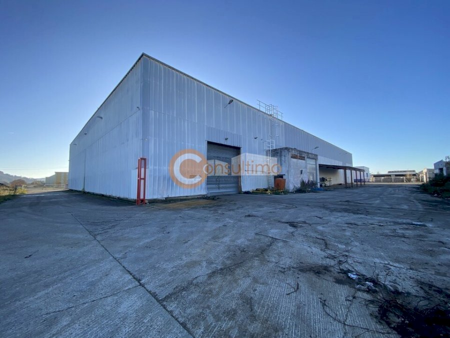 Entrepôt à acheter 3150 m² - Castelculier