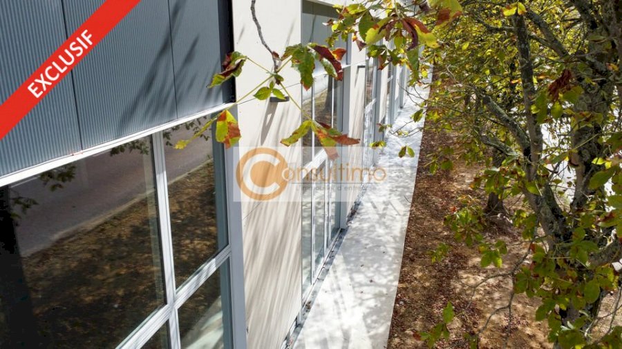 Bureau à acheter 2000 m² - Carbon-Blanc