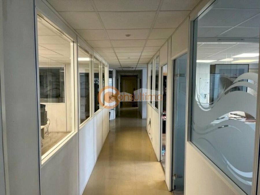 Local d'activité à louer 800 m² - Bordeaux