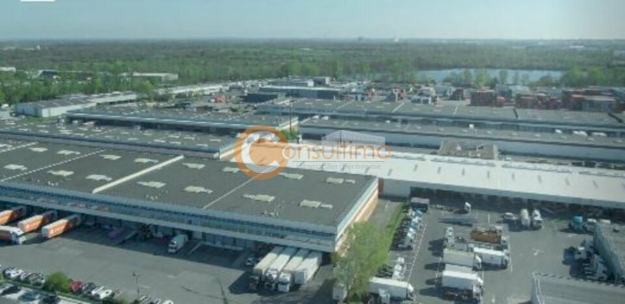 Local d'activité à louer 6257 m² - Bruges