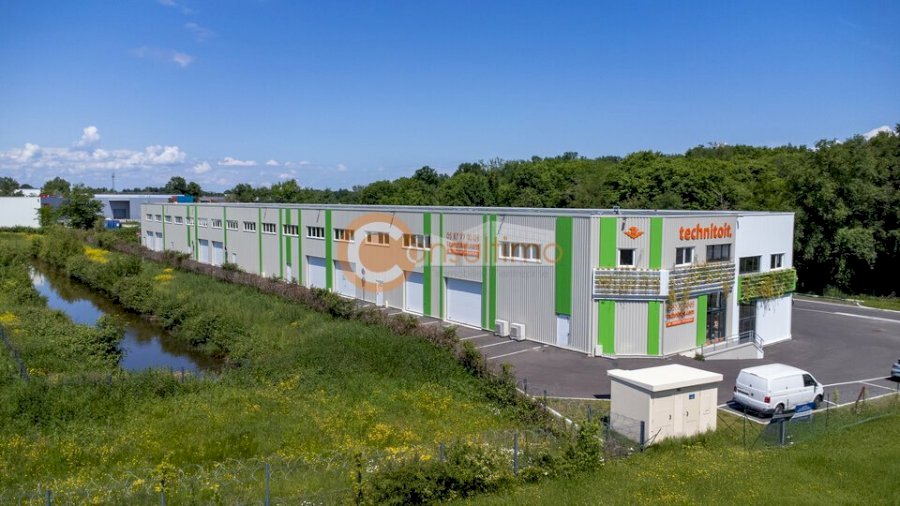 Local d'activité à acheter 295 m² - Tresses