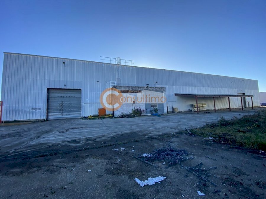 Entrepôt à acheter 3150 m² - Castelculier