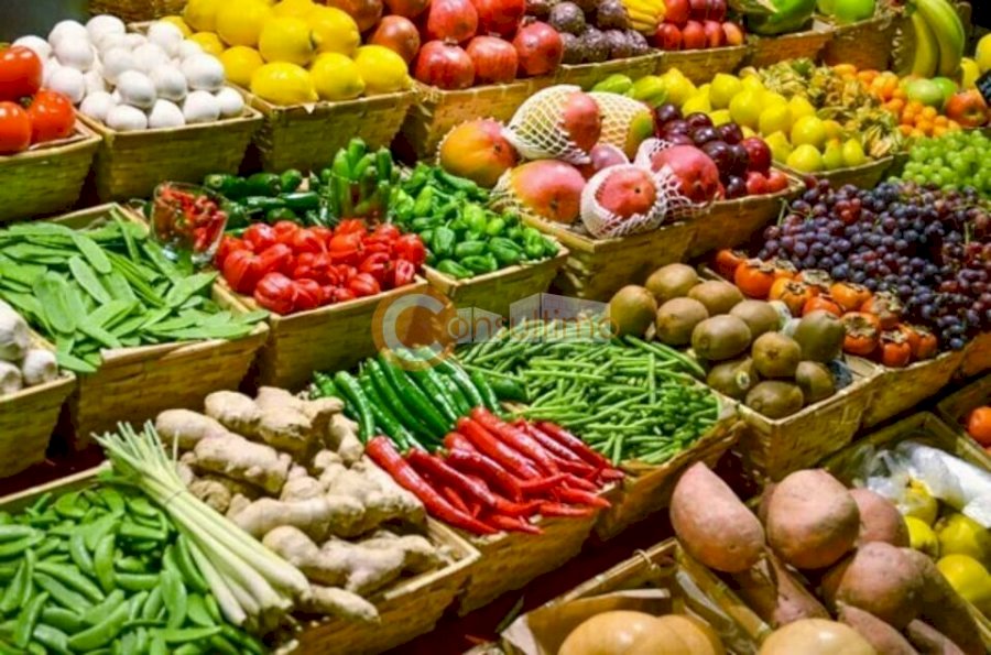 Fond de commerce à acheter 54 m² - Blanquefort