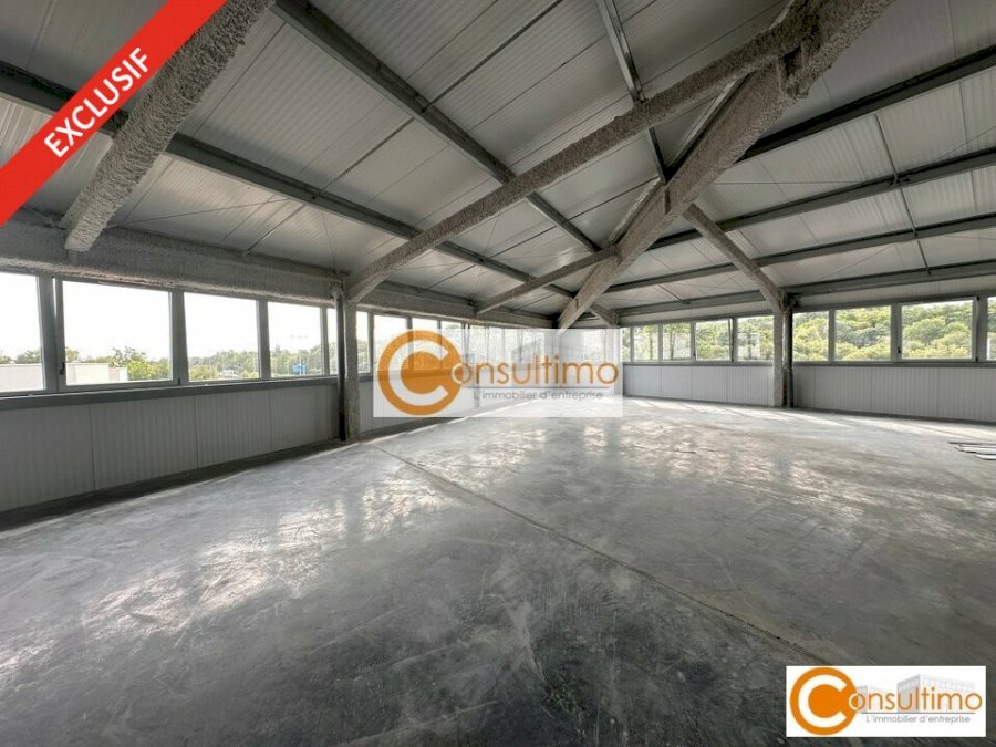 Bureau à acheter 2000 m² - Carbon-Blanc