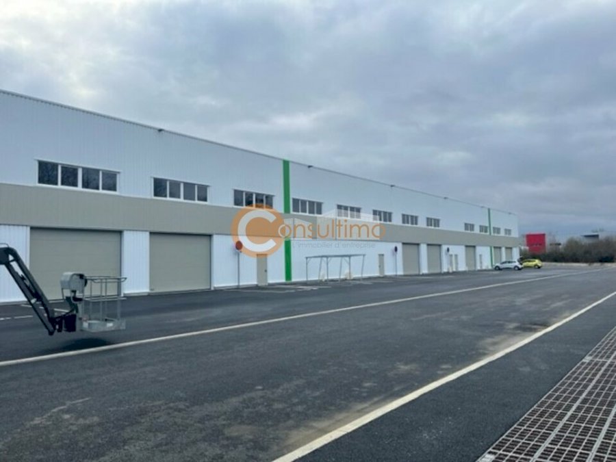 Local d'activité à acheter 145 m² - Tresses