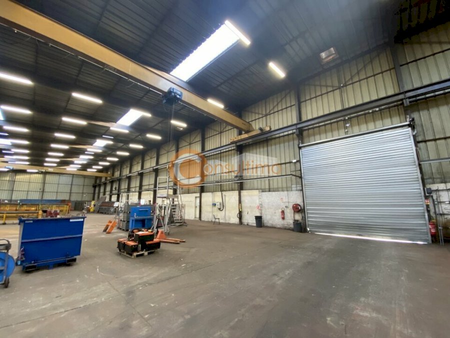 Entrepôt à acheter 3150 m² - Castelculier