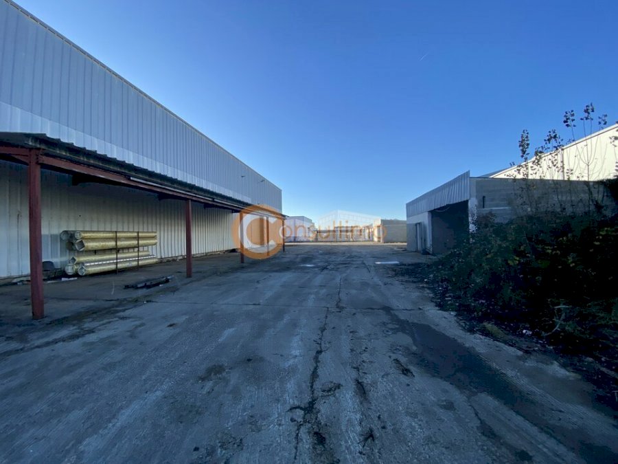 Entrepôt à acheter 3150 m² - Castelculier