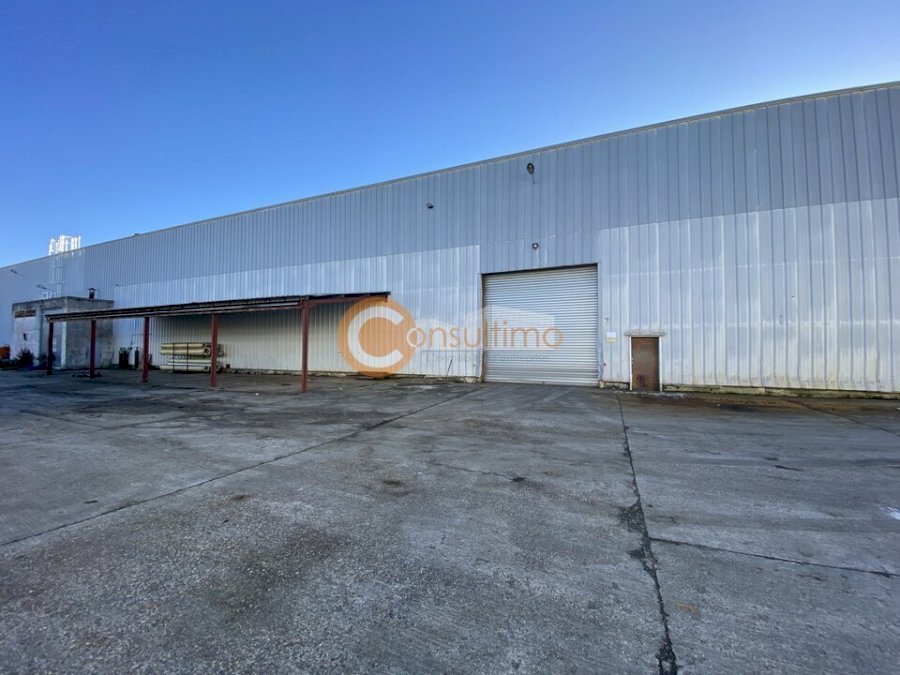 Entrepôt à acheter 3150 m² - Castelculier