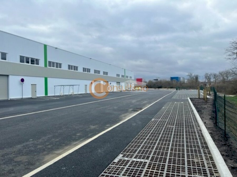 Local d'activité à acheter 295 m² - Tresses