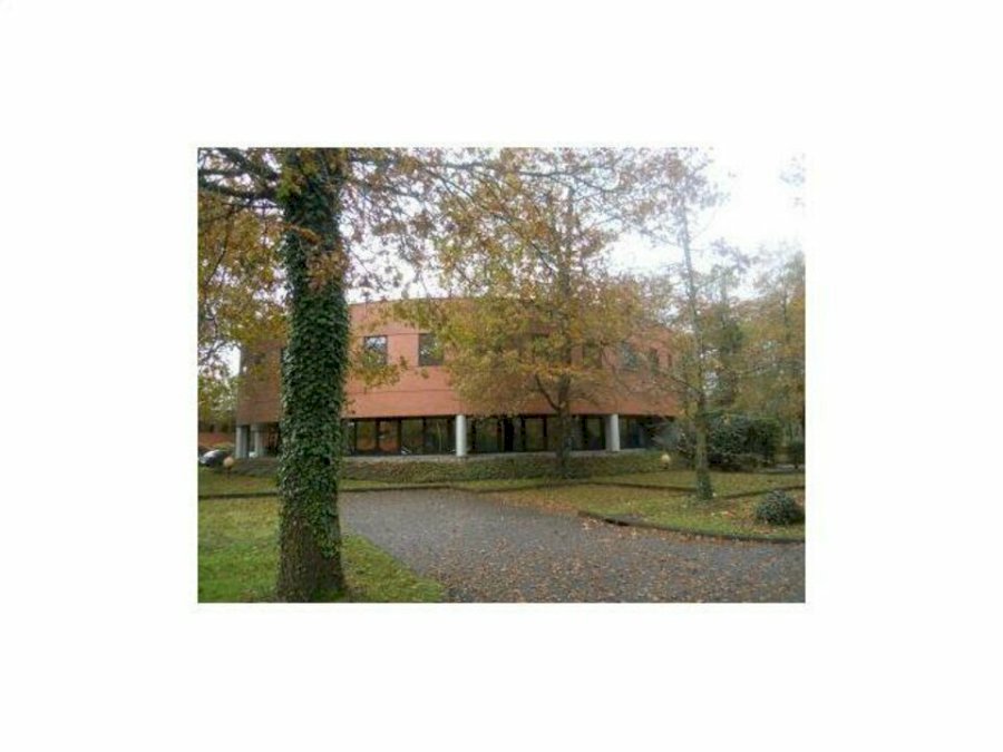 Bureau à louer 488 m² - Mérignac