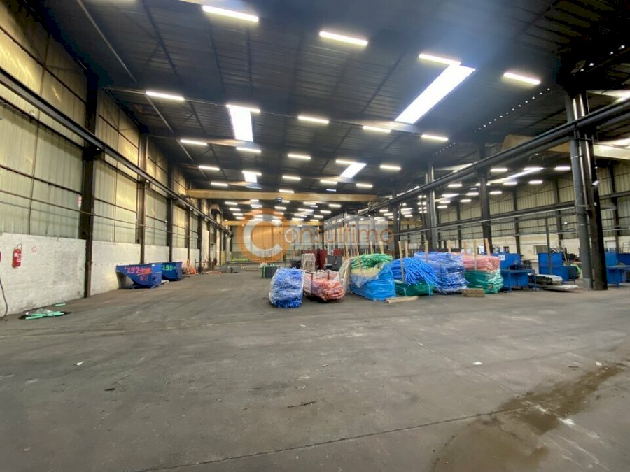 Entrepôt à acheter 3150 m² - Castelculier