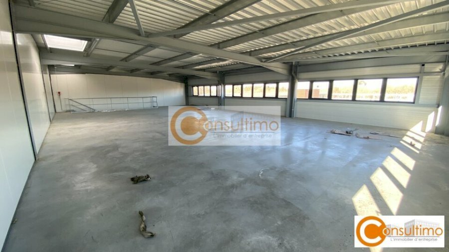 Local d'activité à acheter 387 m² - Sallebœuf