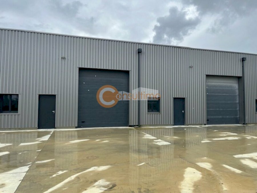 Local d'activité à louer 500 m² - Saint-Sulpice-et-Cameyrac