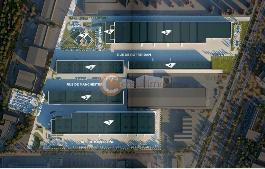 Local d'activité à louer 1506 m² - Bruges