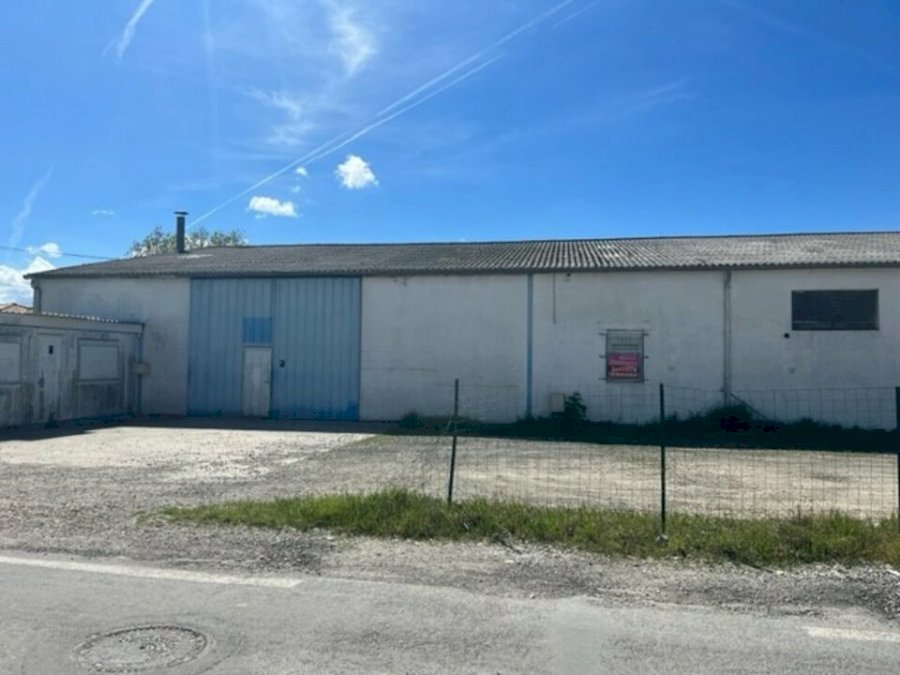 Entrepôt à louer 800 m² - Ambarès-et-Lagrave