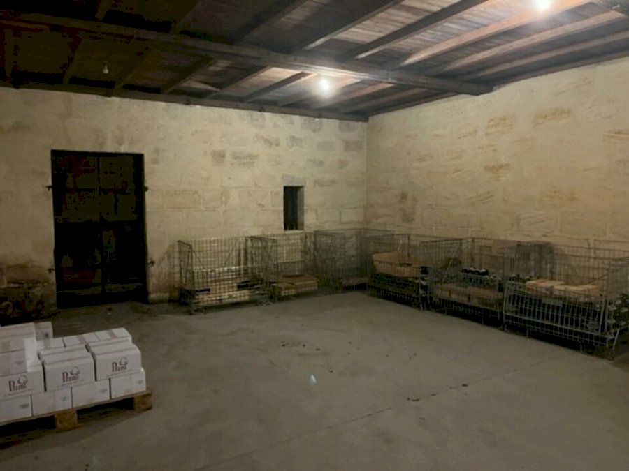 Local d'activité à acheter 300 m² - Saint-Loubès