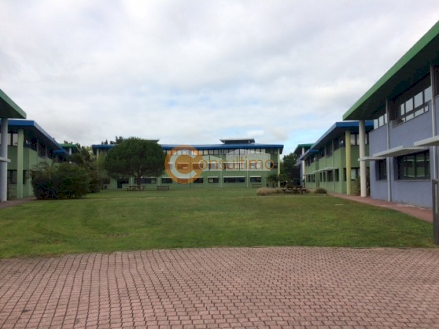 Bureau à louer 1000 m² - Pessac