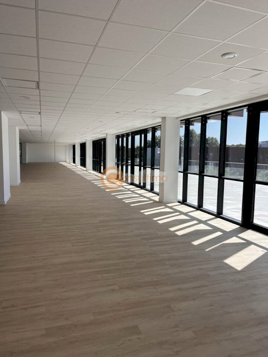 Bureau à louer 500 m² - Mérignac