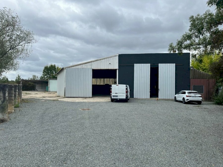 Entrepôt à acheter 857 m² - Sainte-Eulalie