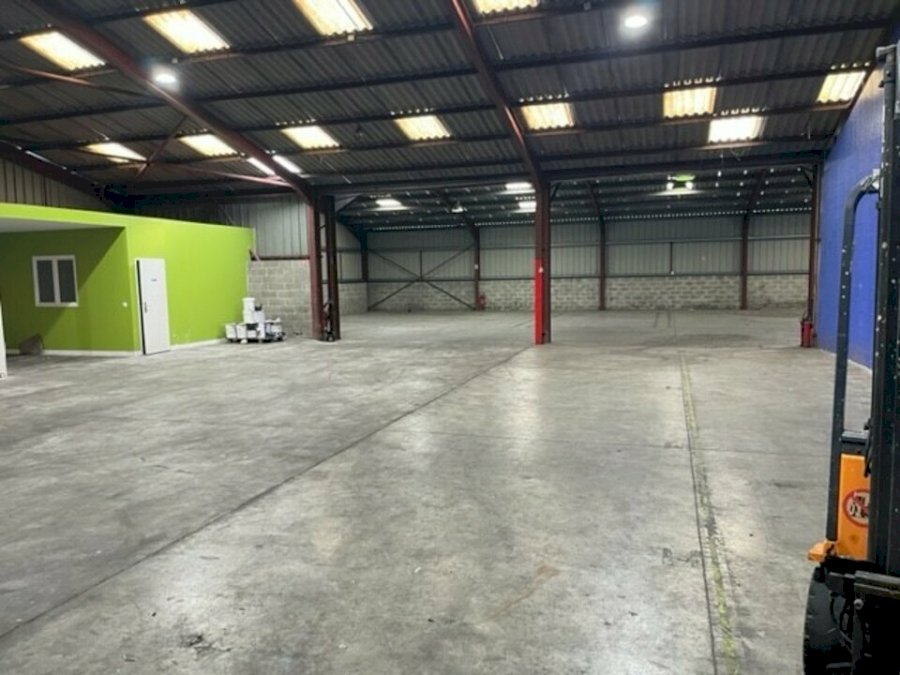 Entrepôt à acheter 1300 m² - Saint-Loubès