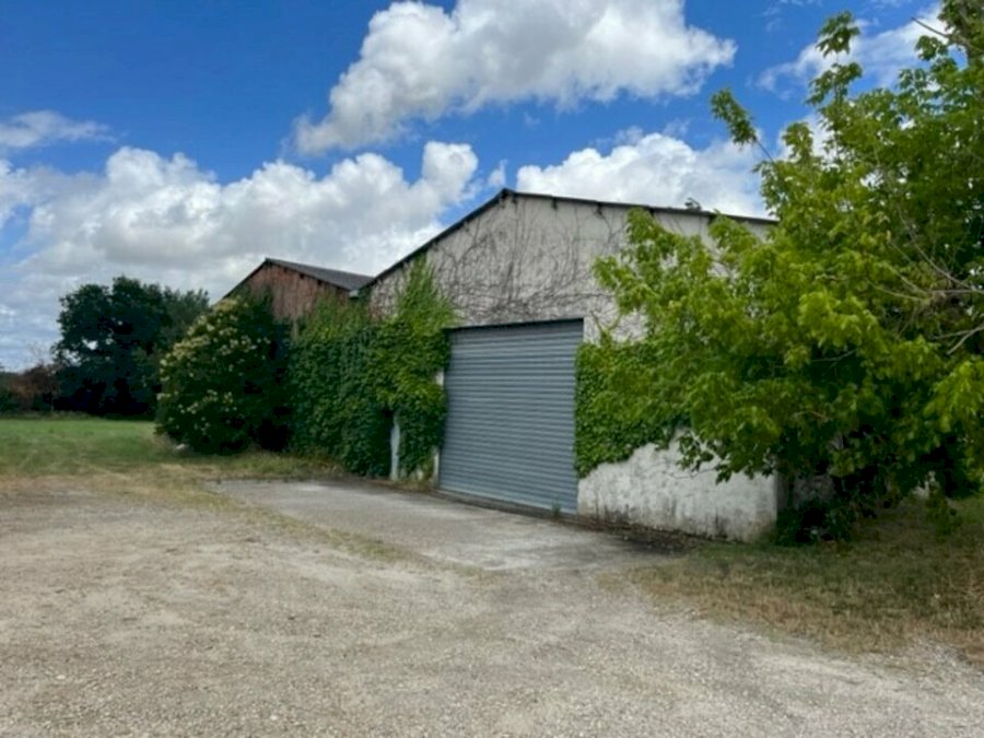 Local d'activité à acheter 300 m² - Saint-Loubès