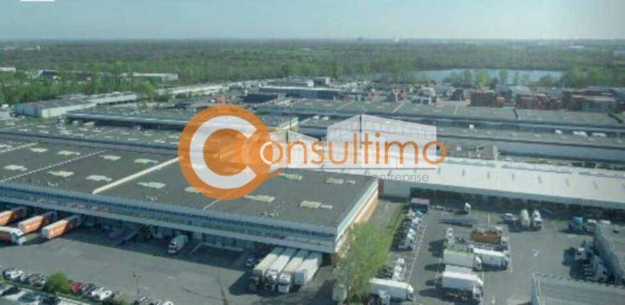 Local d'activité à louer 375 m² - Bruges