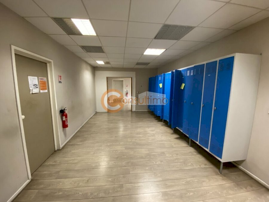 Entrepôt à acheter 3150 m² - Castelculier