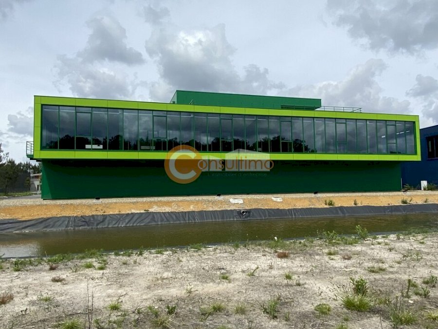Bureau à acheter 782 m² - Bordeaux