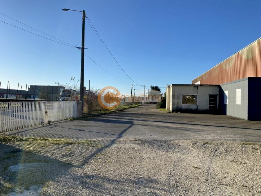 Entrepôt à acheter 3150 m² - Castelculier