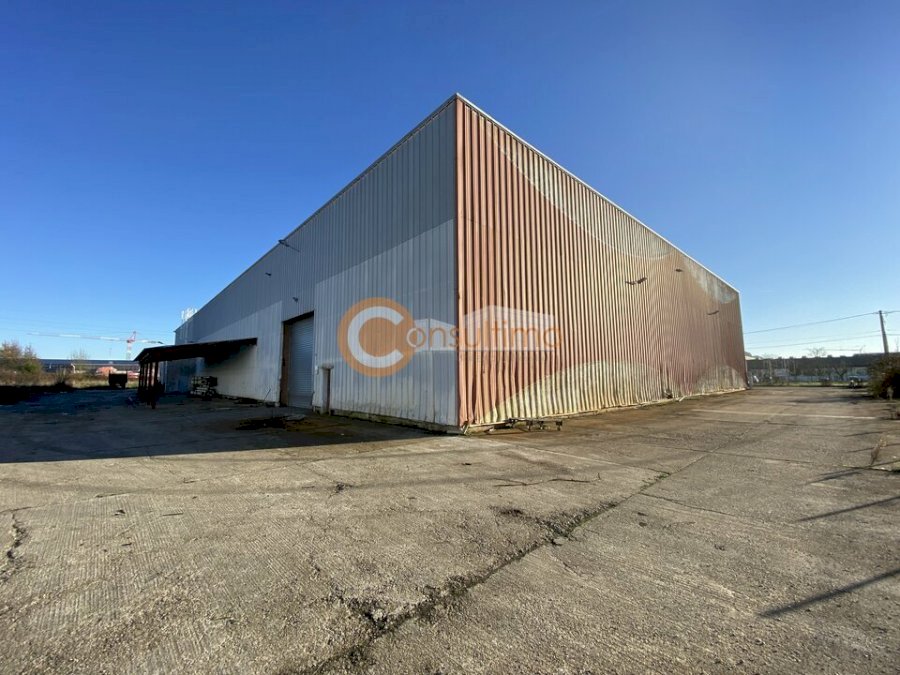 Entrepôt à acheter 3150 m² - Castelculier